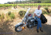 Eric at rest, vineyards off Dry Creek Rd