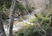Big Creek