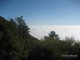 clouds from tam