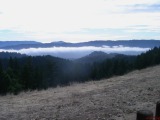 Santa Cruz Mtn. Fog