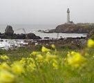 The lighthouse at Pigeon Point
