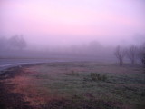 12 Dec 04 -- Foggy morning