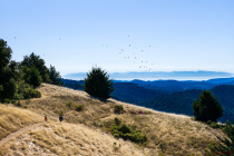 Hikers, birds, and Monterey Bay