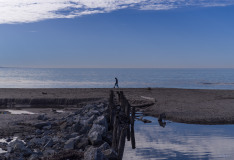 Beach walker