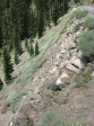 Lassen Nat'l Park#4 (gaurd rail? Nah!)